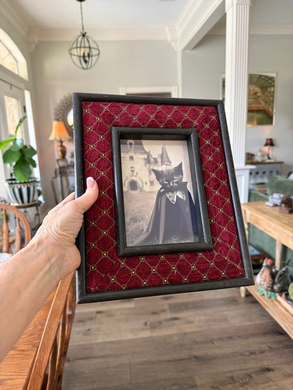 Vintage Gothic Red Quilted Velvet Picture Frame with Black Cat